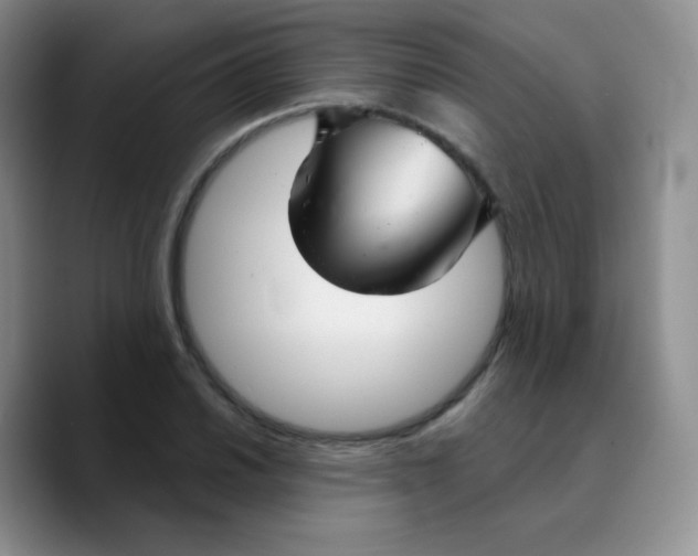 X0000089721030200707201816
