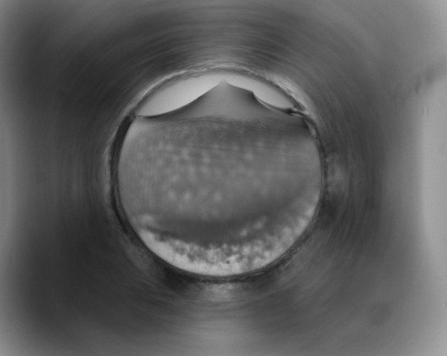 X0000089721031200707201816