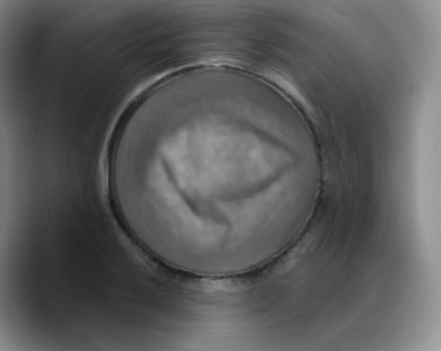 X0000089721032200707201816