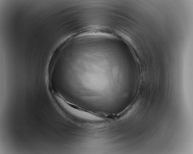 X0000089721034200707201816