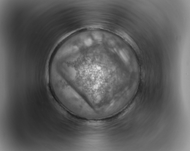 X0000089721036200707201816