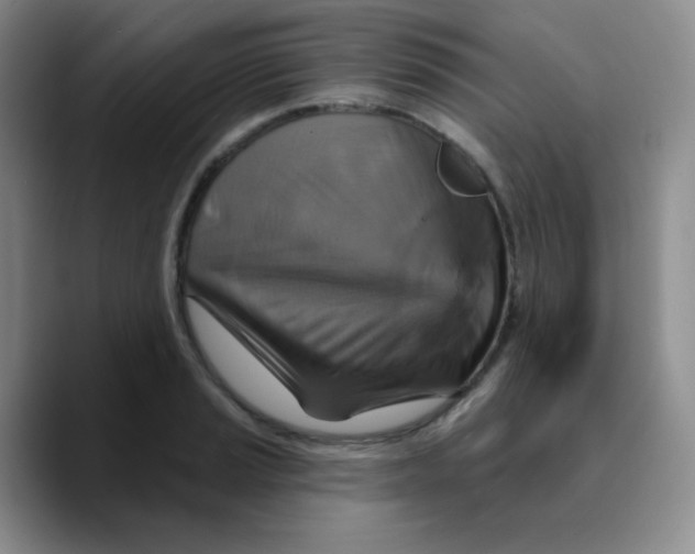 X0000089721037200707201816