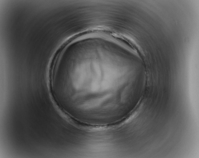 X0000089721038200707201816