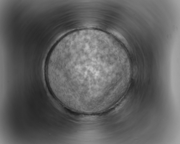 X0000089721039200707201817