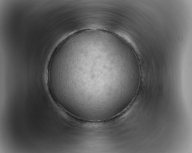 X0000089721040200707201817