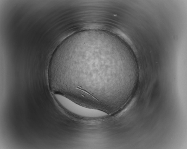 X0000089721041200707201817