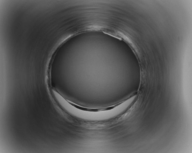 X0000089721042200707201817