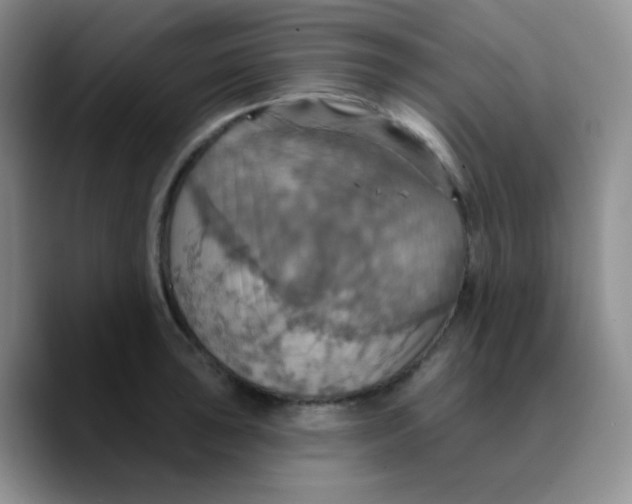 X0000089721043200707201817