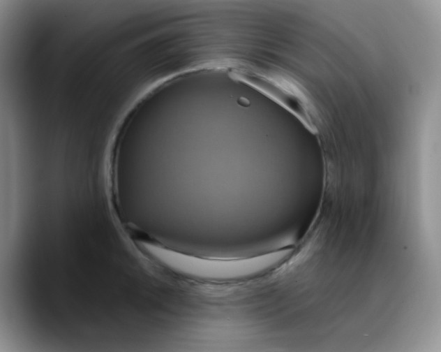 X0000089721046200707201817