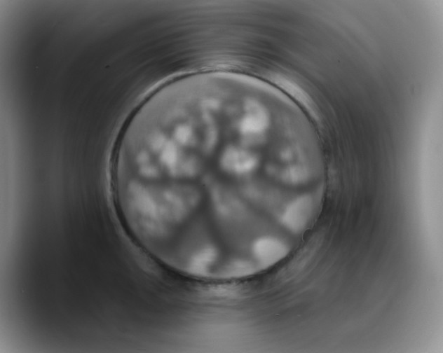 X0000089721047200707201817