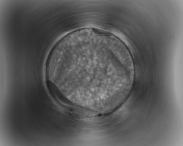 X0000089721048200707201817