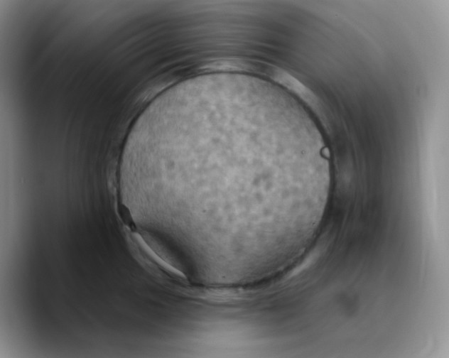 X0000089721049200707201817
