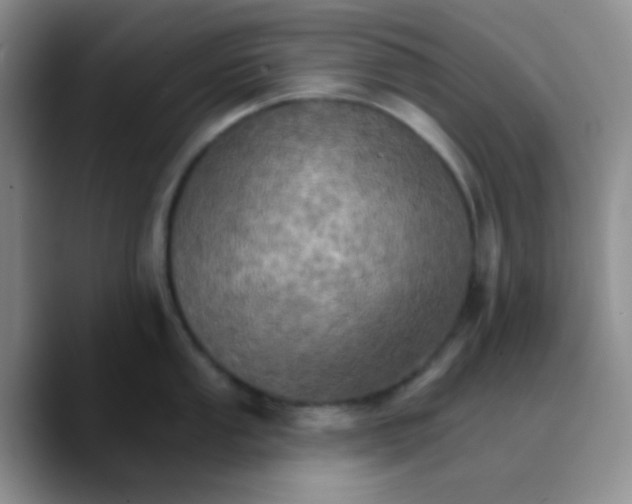 X0000089721053200707201817
