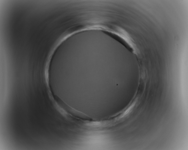 X0000089721054200707201817