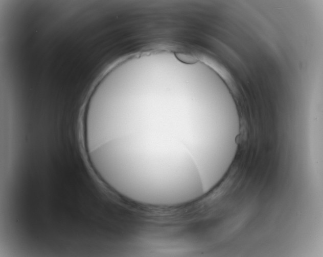 X0000089721055200707201817
