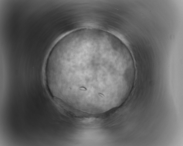 X0000089721056200707201817
