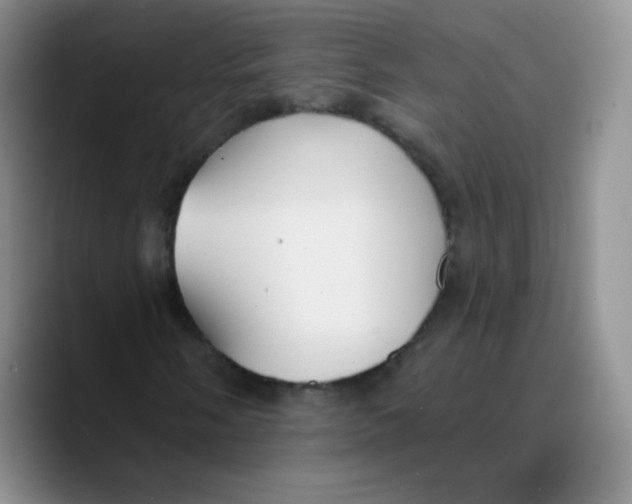 X0000089721058200707201816