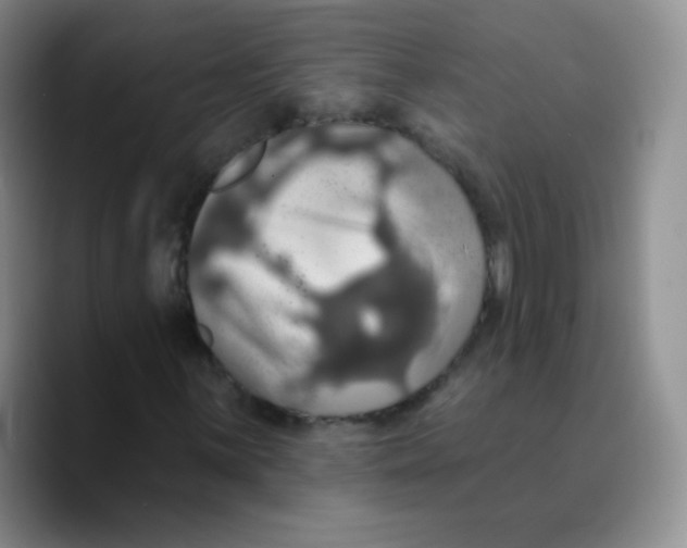 X0000089721059200707201816