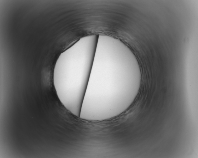 X0000089721060200707201816