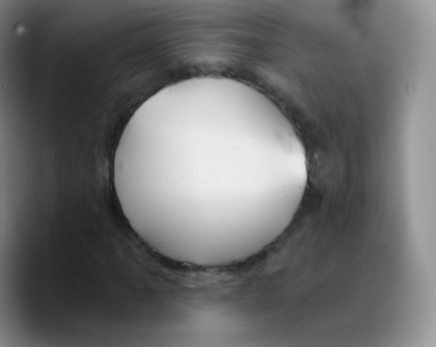 X0000089721061200707201816