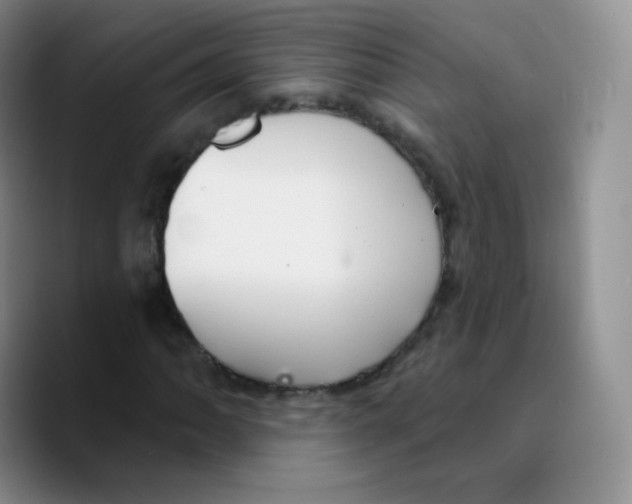 X0000089721062200707201816