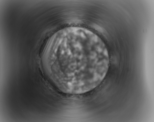 X0000089721063200707201816