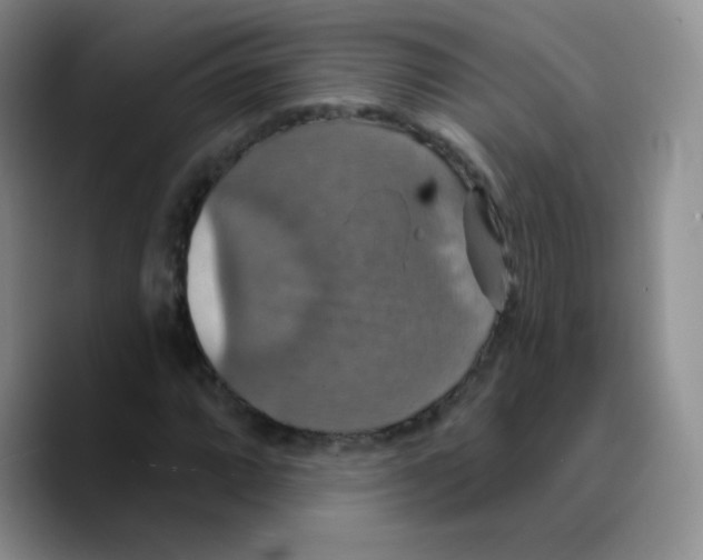 X0000089721064200707201816