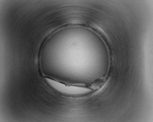 X0000089721065200707201816