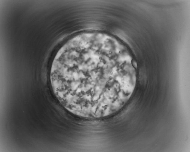 X0000089721067200707201816