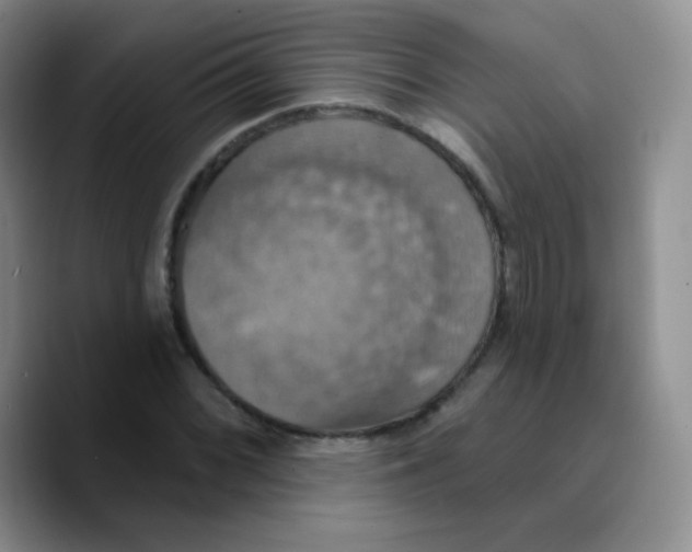 X0000089721068200707201816