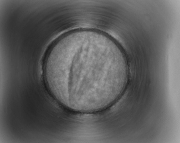 X0000089721070200707201816
