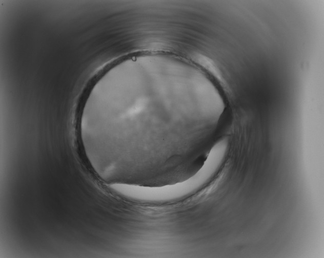 X0000089721071200707201816