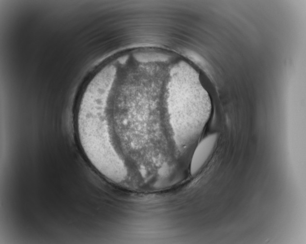 X0000089721072200707201816