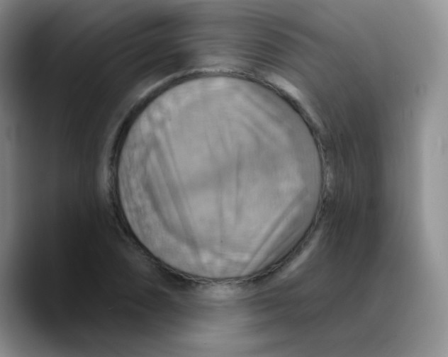 X0000089721074200707201816