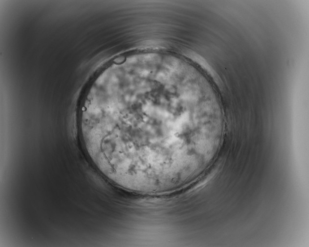 X0000089721075200707201816