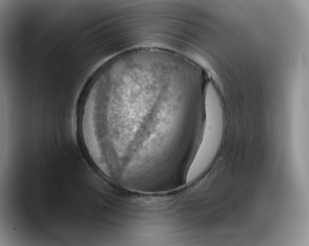X0000089721076200707201816