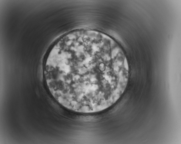 X0000089721079200707201816