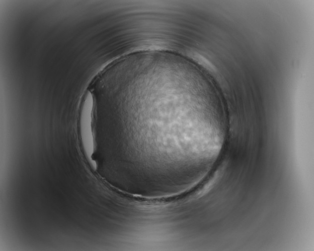 X0000089721081200707201816