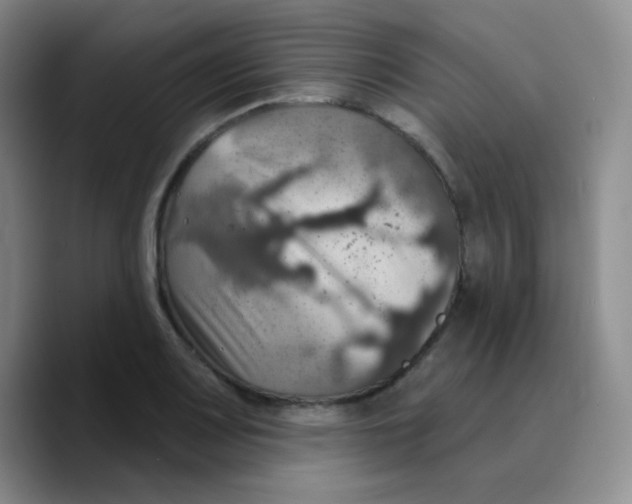 X0000089721083200707201816