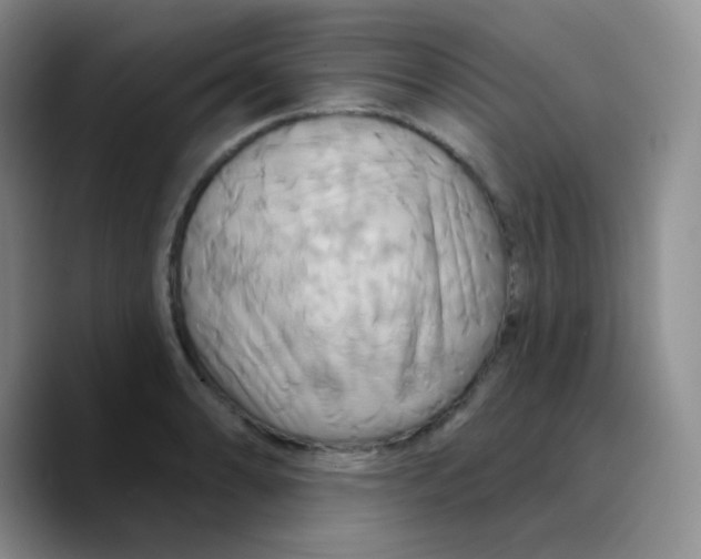 X0000089721086200707201816