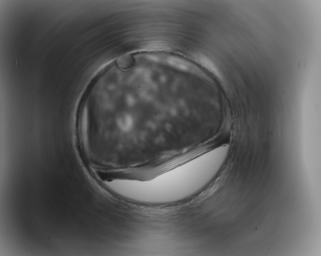 X0000089721087200707201816