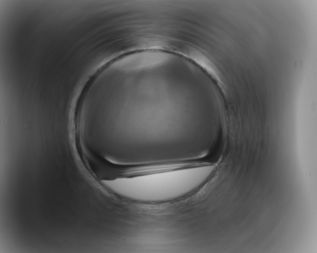 X0000089721088200707201816