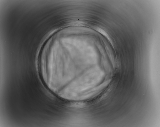 X0000089721090200707201816
