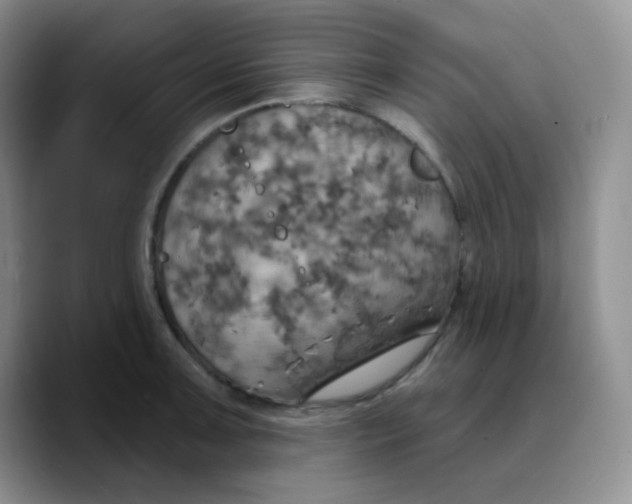 X0000089721091200707201816
