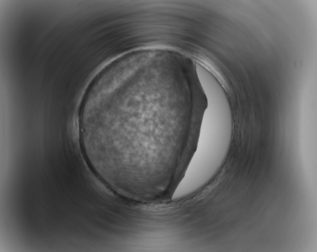 X0000089721092200707201816