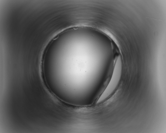 X0000089721093200707201816