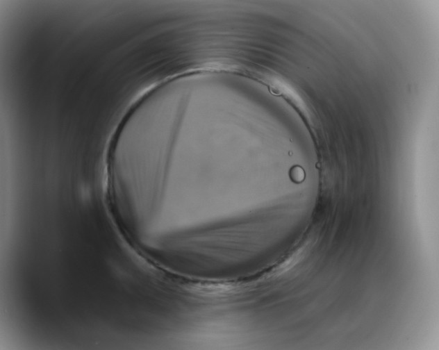 X0000089721095200707201816