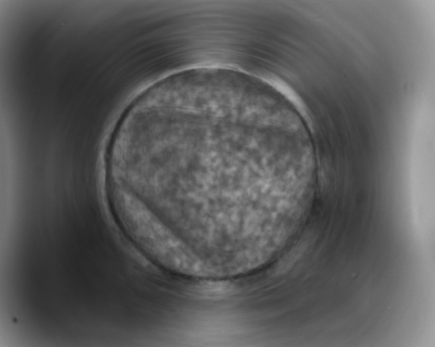 X0000089721096200707201816