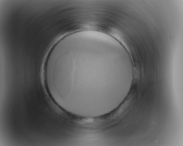X0000089721098200707201816