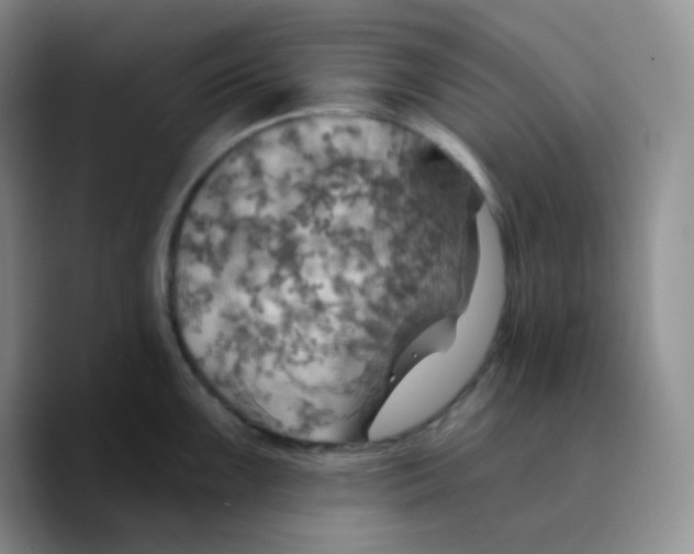 X0000089721099200707201816